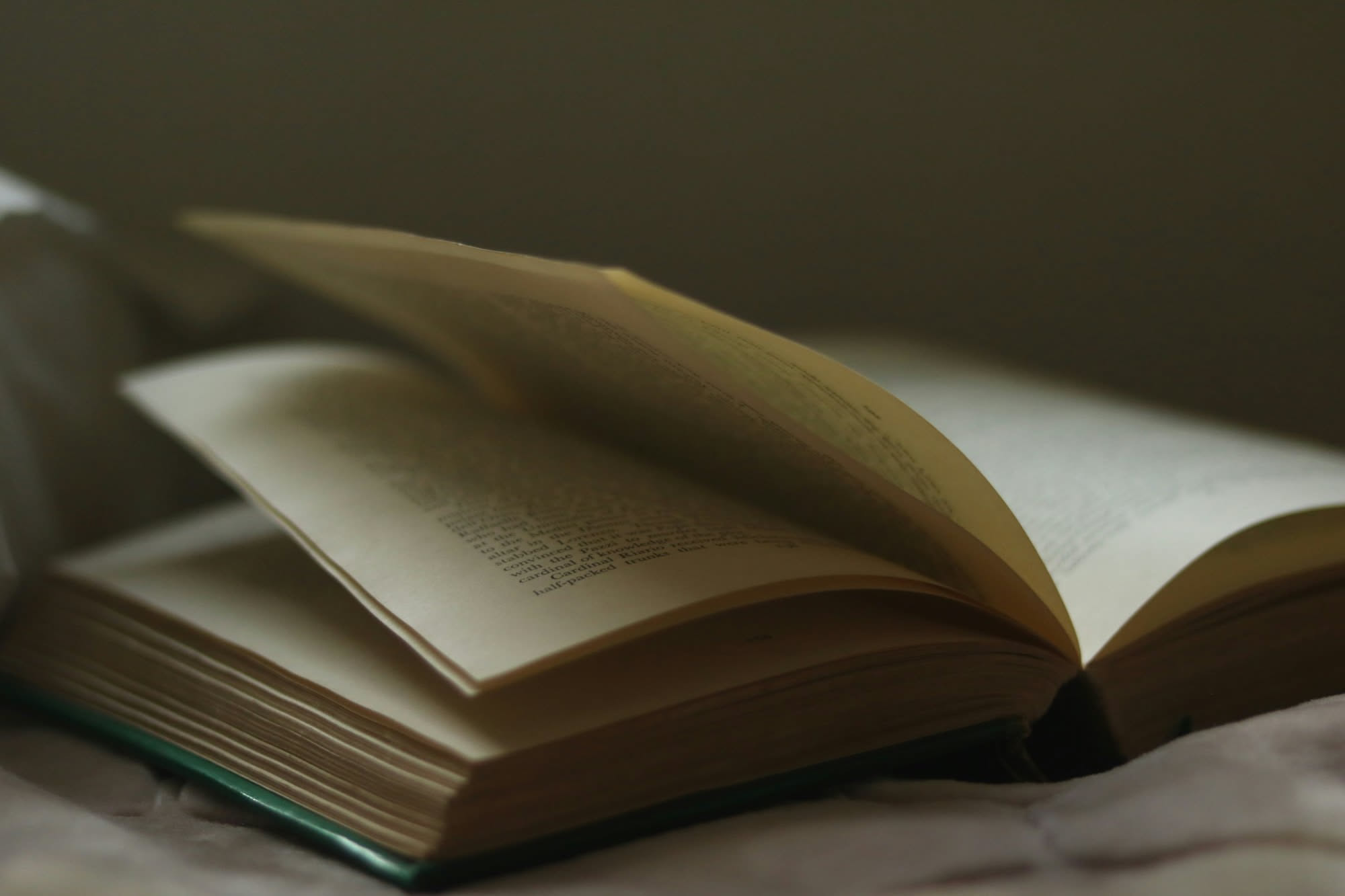 Libro aperto a metà con un segnalibro fra le pagine