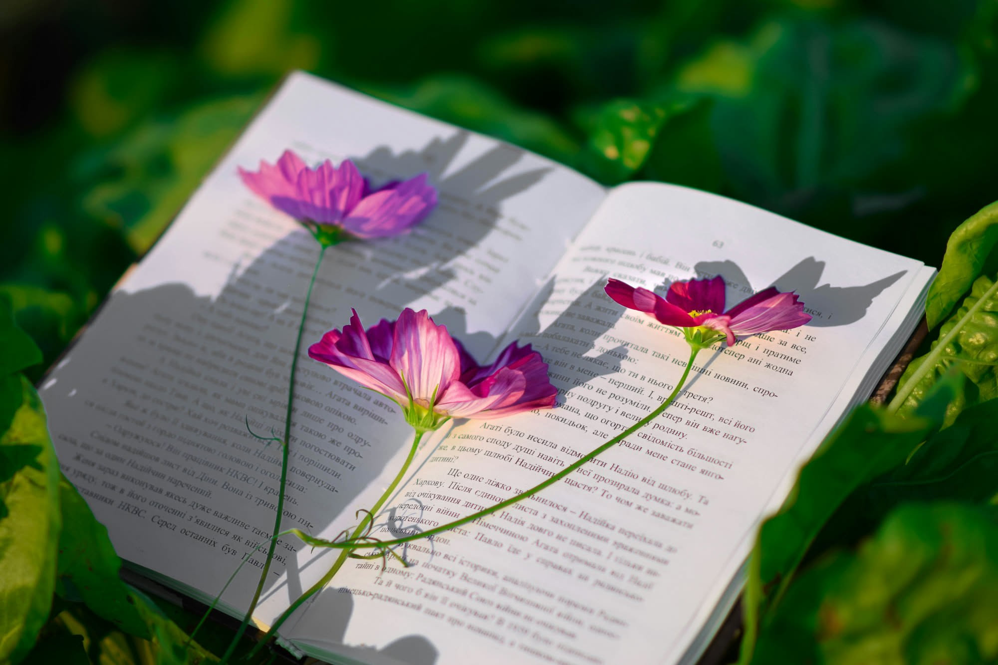 Nuove uscite libri settembre 2026: le novità da tenere d'occhio