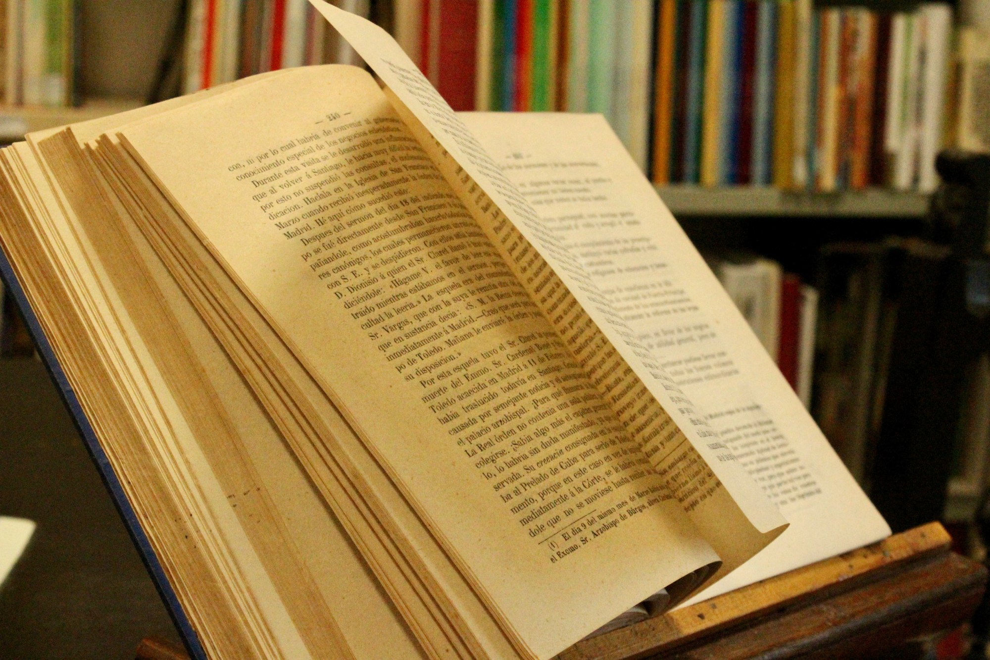 Un libro diventa virale: che cosa succede in libreria nelle settimane successive