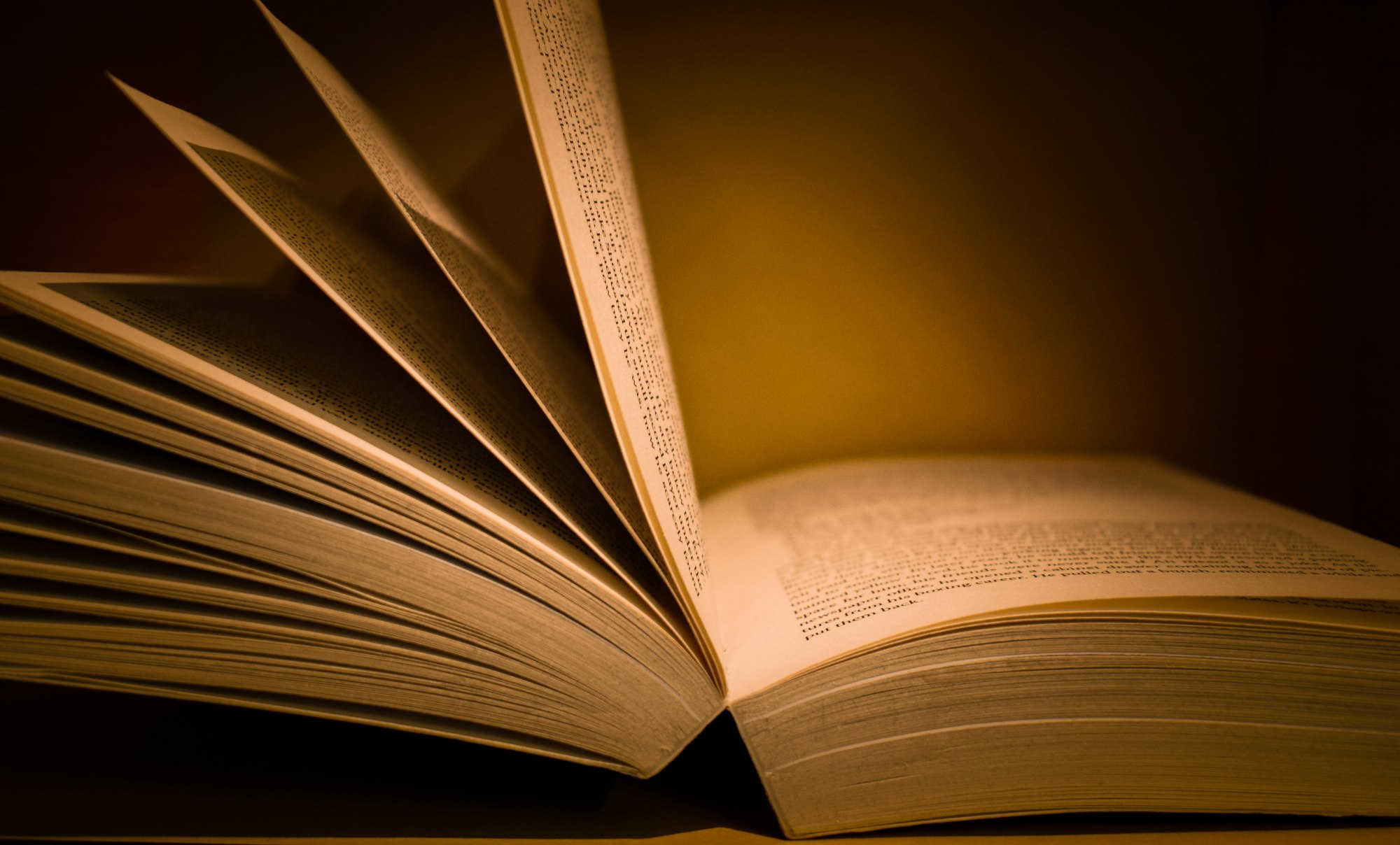 Vetrina di libreria con lo stesso titolo esposto più volte