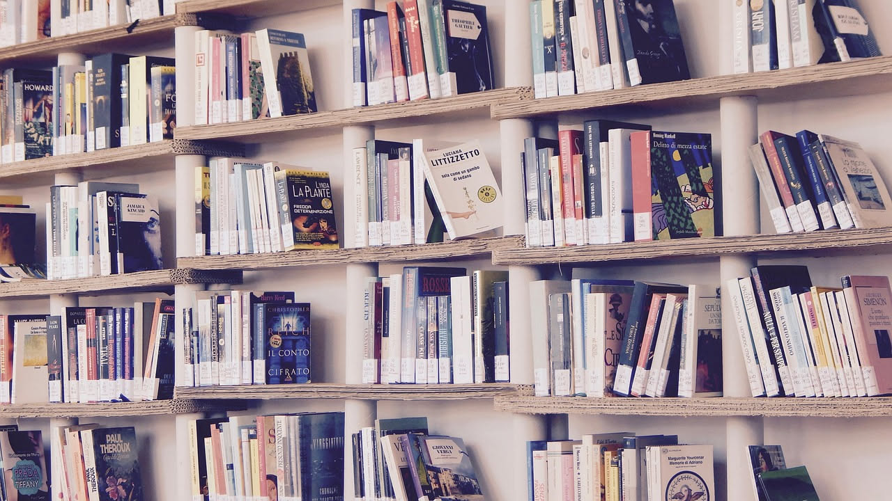 L'audiolibro funziona con certi libri e non con altri
