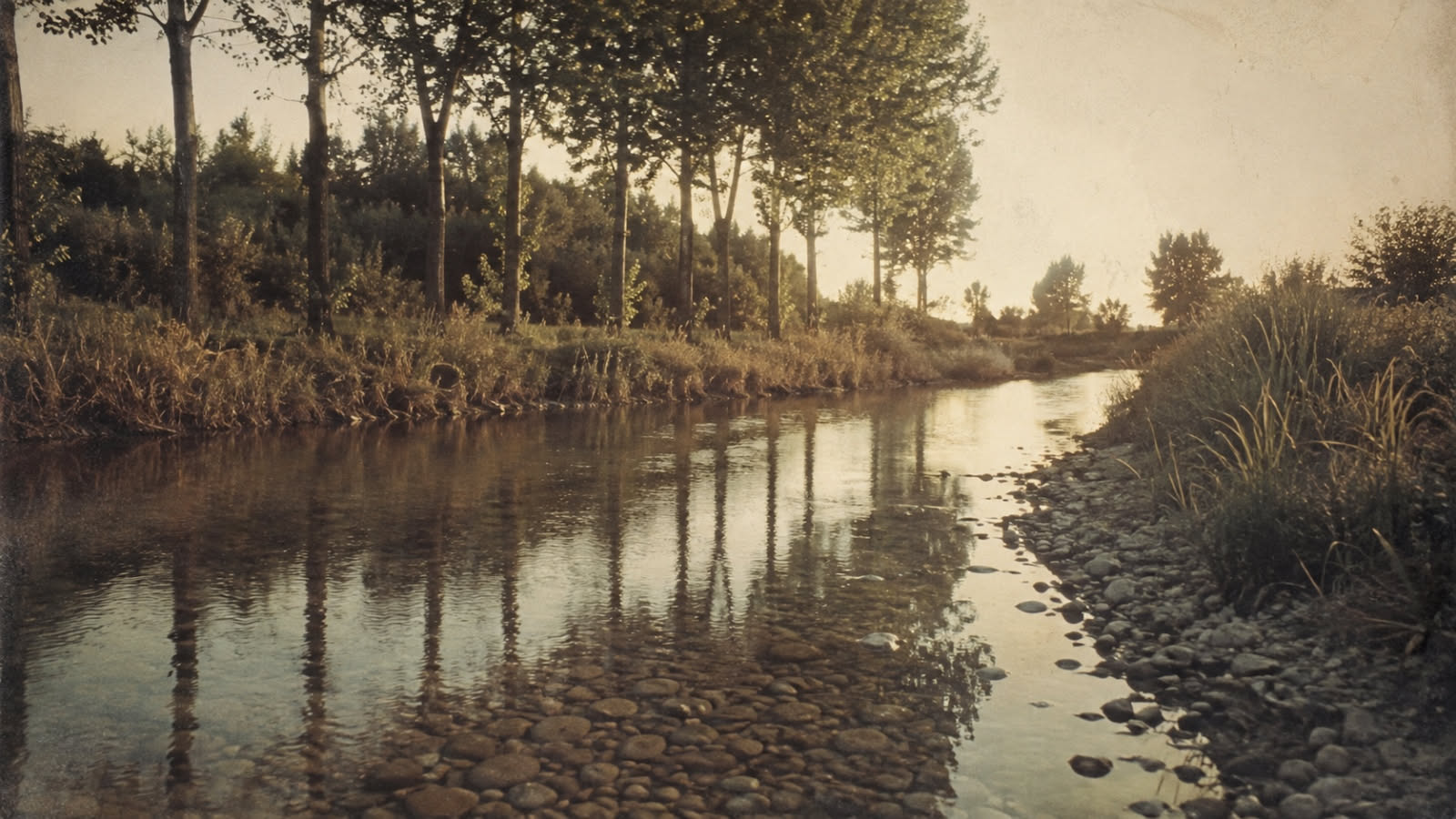 Tratto di fiume appenninico con sponde erbose in una luce estiva del tardo pomeriggio